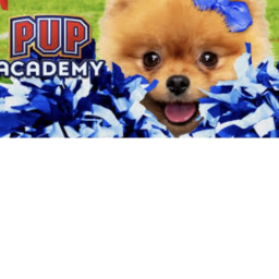 Pup academy school
