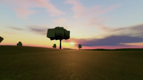 Open Field