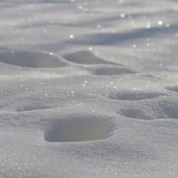 ❅