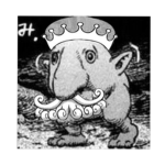 shnoz kingdom