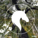 Weeping Willow Riding Centre Group Thumbnail