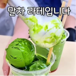 6900원이지만 또 먹고싶은 말차 티어오비입니다 icon