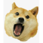 shiba game