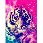 Tigerlilly's group