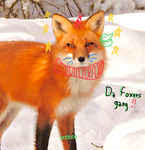 ~Da foxers gang~