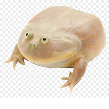 Wednesday
