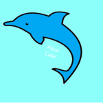 The Aqua Cafe Devs