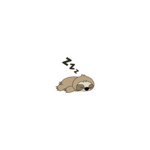 Slothy Scripts