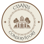 Cisanis Conservatory