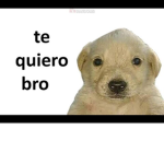 Los papus y tilines