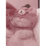 the little sweet