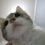 Nem giveaway 4 U