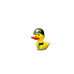 duck_nation1