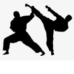Karate Training Classes