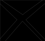 the X-Bloxianz