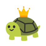 Turtles United!!!!!
