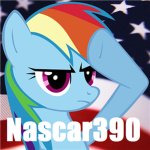 Nascar390's Fan Club :3