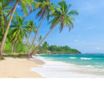 GOOD BEACHES:)