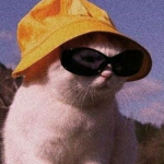 Trocas no kat