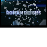 WWE. Fans