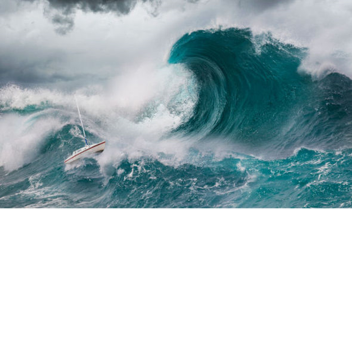 SURVIVE THE MASSIVE WAVE [1% HAVE SURVIVED!]