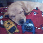 Sleep time squad