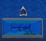Shark Madness Studios