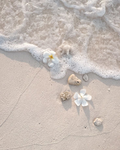 ~ELLA'S SEASIDE~