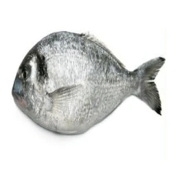 Be a One Pound Fish icon