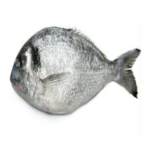 Be a One Pound Fish