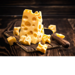 Cheesey Sqwad