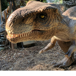 T-REX ISLAND