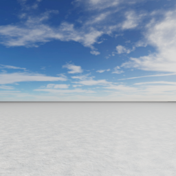 Snow Area