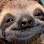 Sloth squad :3