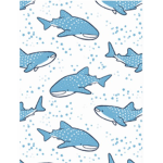 whale sharks club