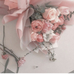 ♡︎