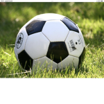 Les fans de Foot