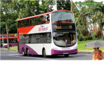 SMRT and SBS