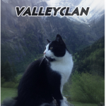 | ValleyClan |