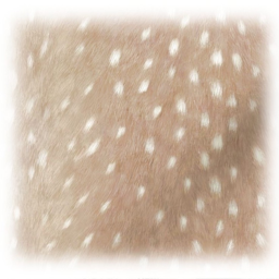 ✧˚ · .