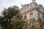 floral avenue