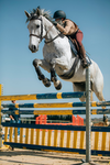 Equestrian_Editz
