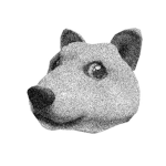 Acid-Doge-Productions
