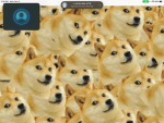 Doge Squad 1