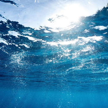Wata