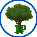 THE TREE GROUP