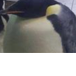 Cool Roblox Games123