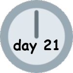 Day 21