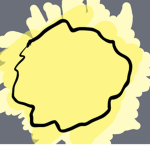 Sun's follower's