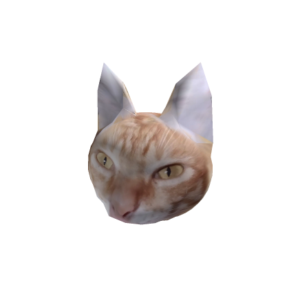 (Kittie)Orange Cat Head